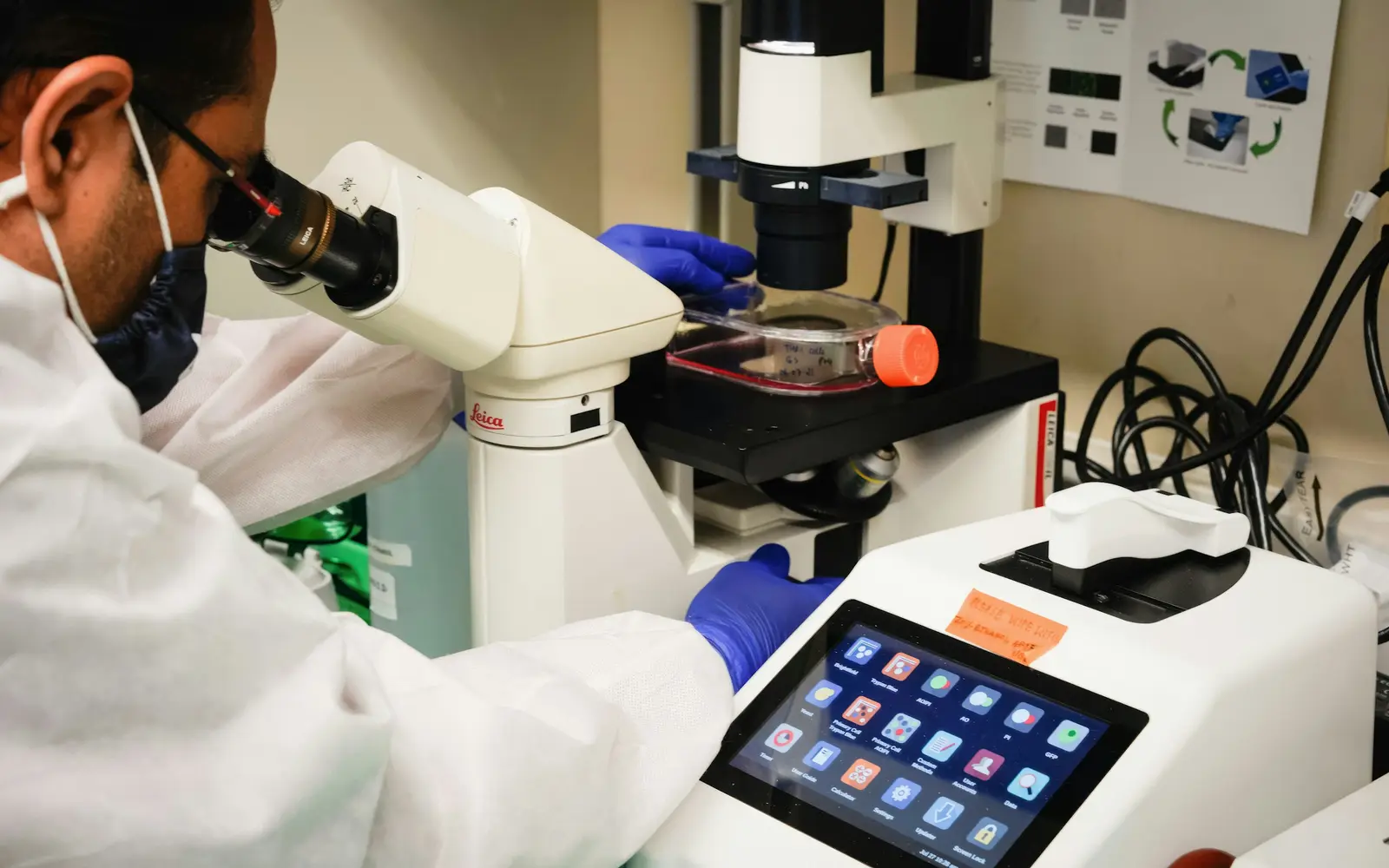 A laboratory scientist in a mask looks through a microscope at a cell culture flask.