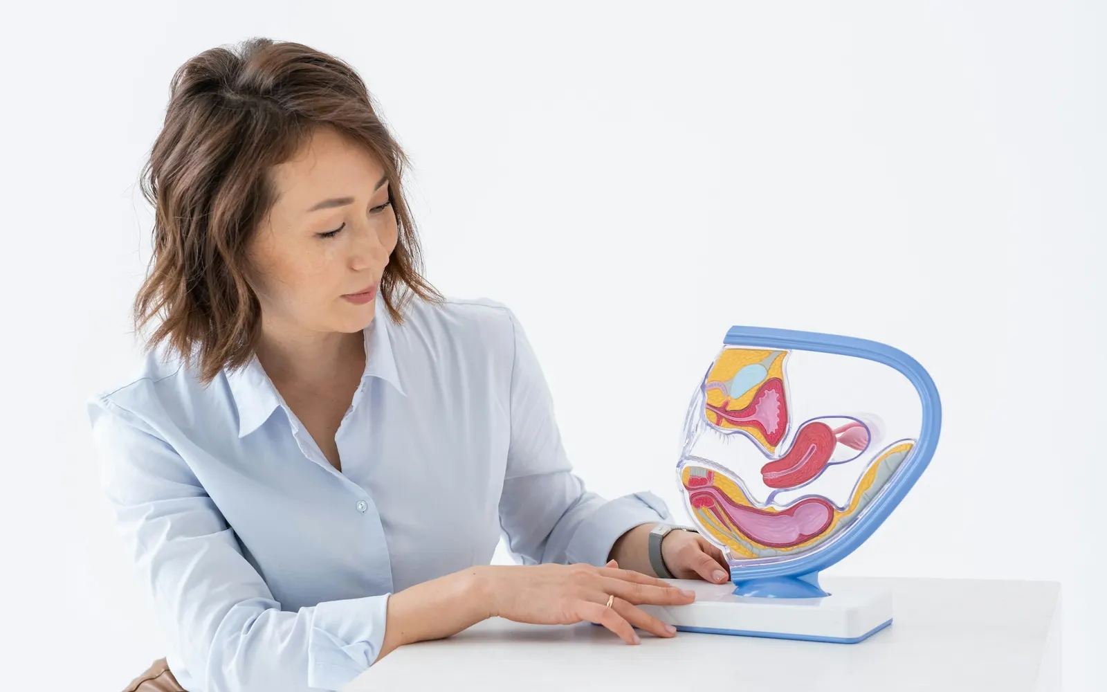 A woman in a light blue shirt sits at a white table beside a cross-section model of the female pelvis.